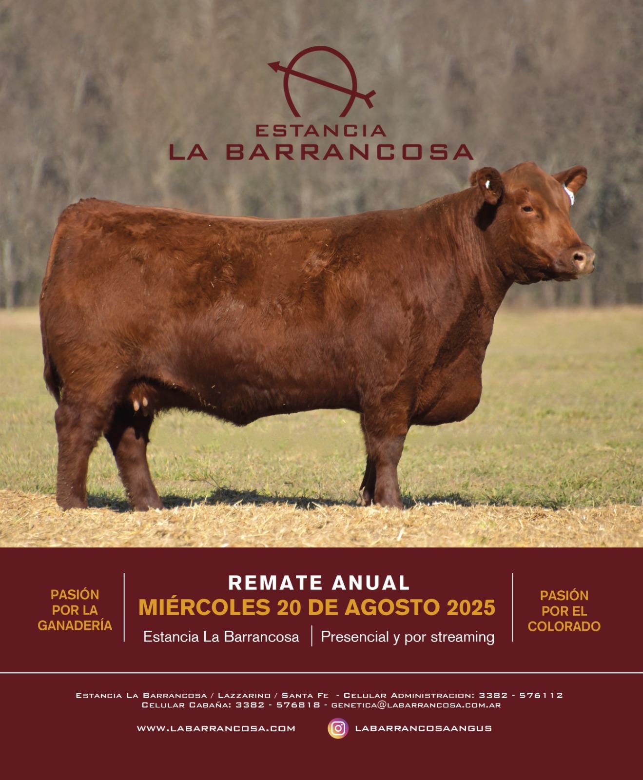 Imagen de La Barrancosa